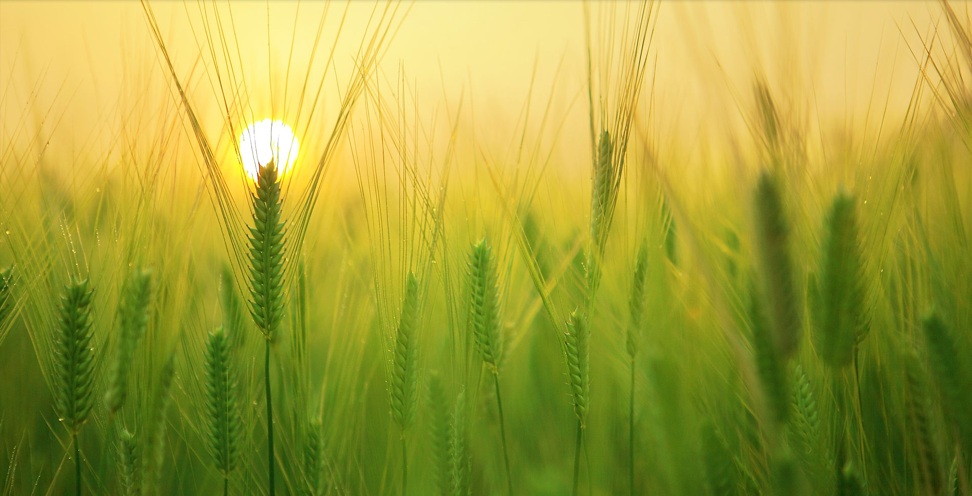 �b�޲��ϲ��h(hu��n)���������r���o�l��