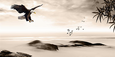 ���P(gu��n)��ʲô���L(f��ng)ˮ��