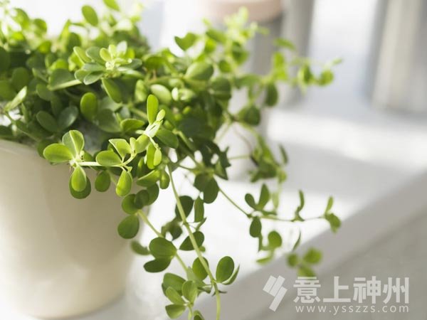 �b��b���b���OӋ�Ҿ��b��Ʒ�|�Ҿ�