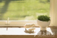 �p�ٰ�����ô�^���Ҿ��b����������