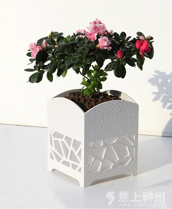 ��ͯ�Ҿ�ɫ��