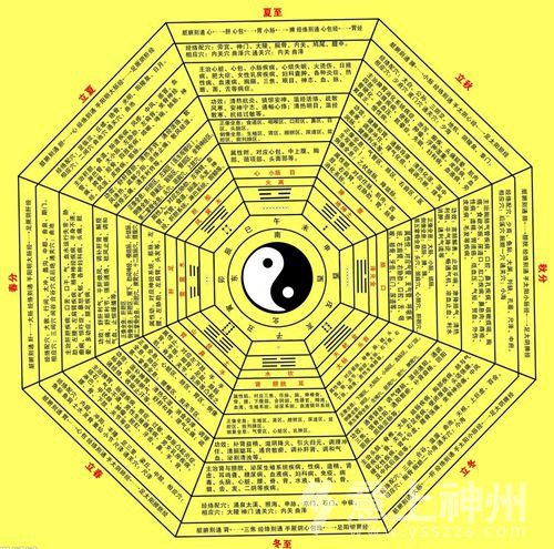 ��ͥ��������Щ�L(f��ng)ˮ�v����